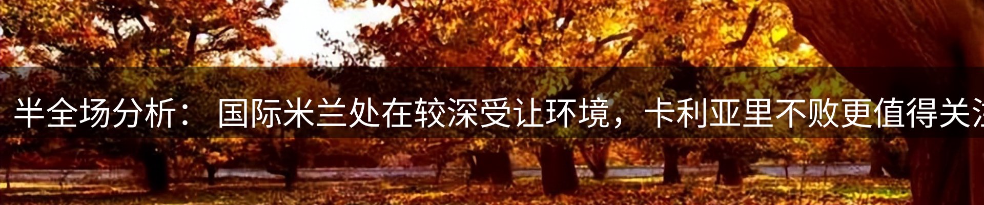 内页banner