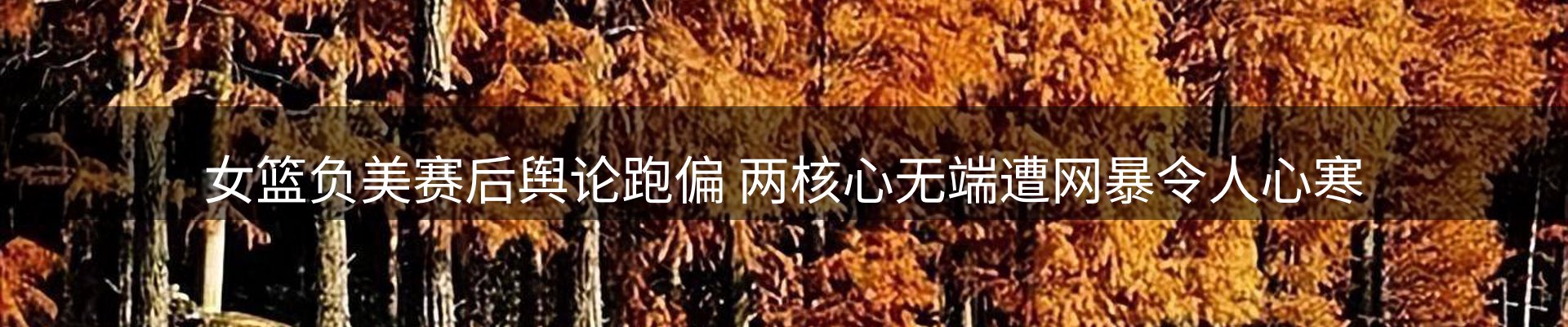 内页banner